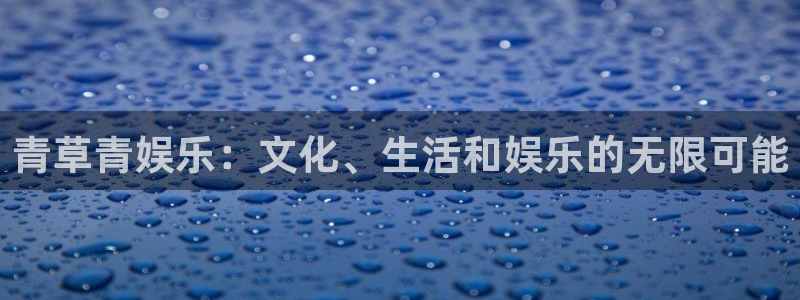 美狮贵宾会ms092