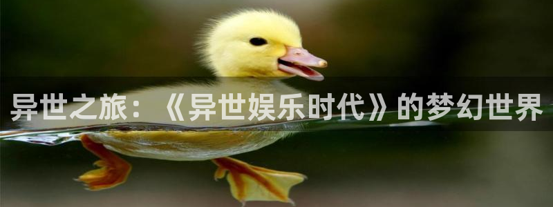 美狮贵宾会网页登陆