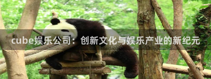 美狮贵宾会092268最新消息官网