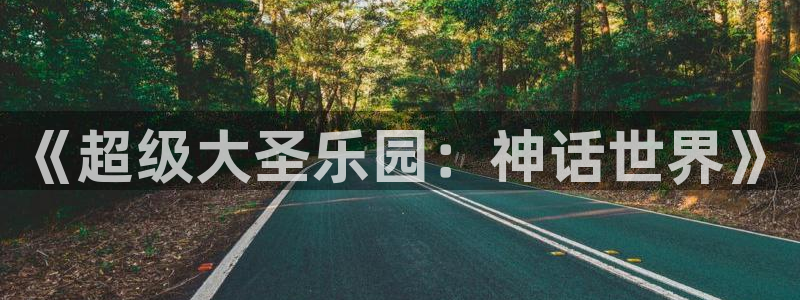 美狮贵宾会0924455