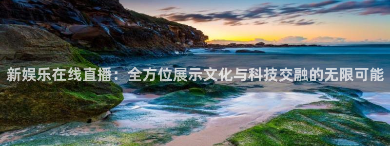 美狮贵宾会ms092