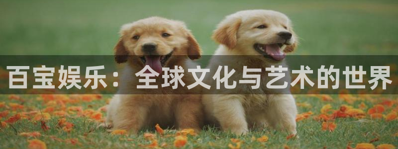 美狮贵宾会官网