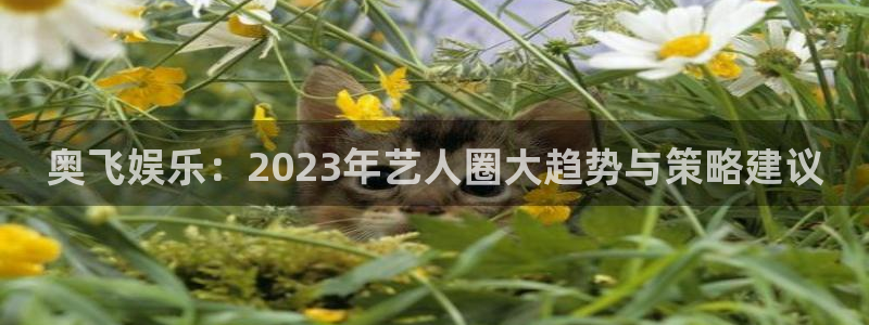 ms美狮贵宾会