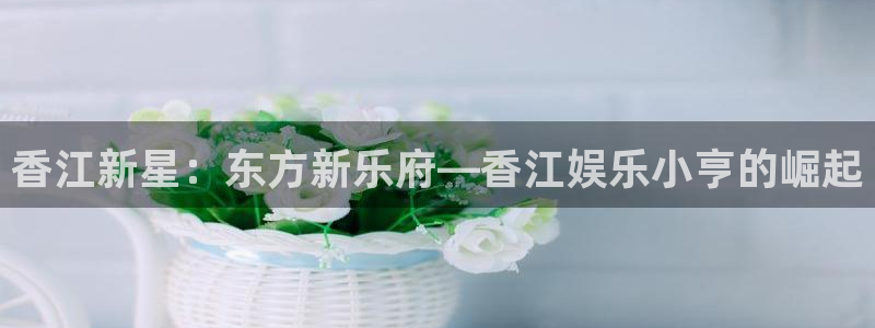 美狮贵宾会0924455